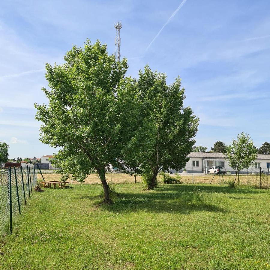 Tiny House Villa Neusiedl an der Zaya Luaran gambar